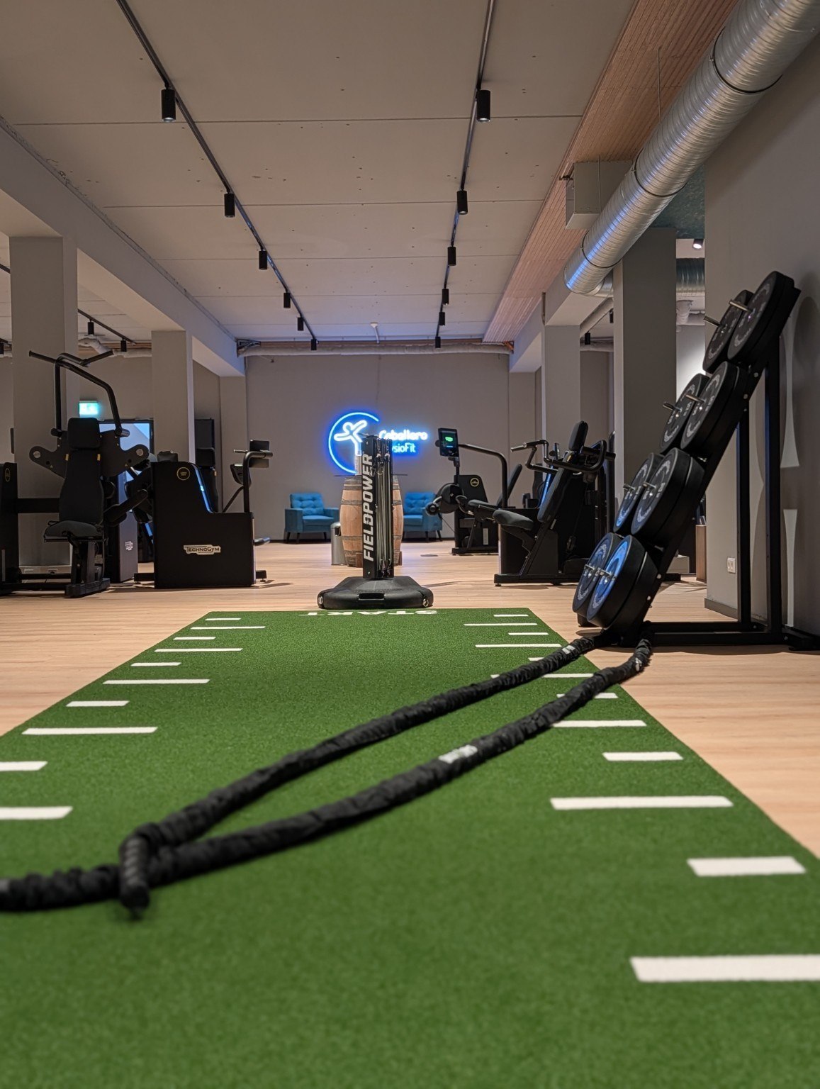 Functional-Bereich mit grüner Trainingsbahn, Seilen und Kraftstationen